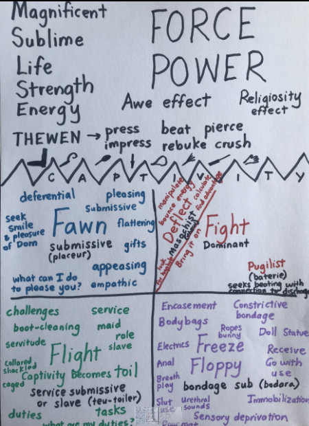 Rough Play frame: BDSM & fight-flight-freeze-fawn + deflect response