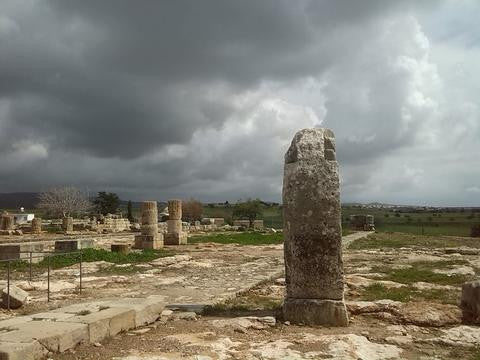 Anne O Nomis arrives back from Cyprus into London