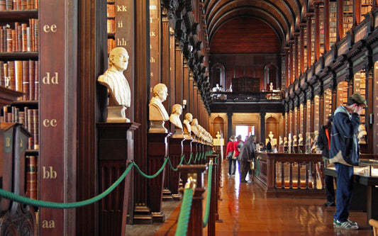 'The History & Arts of the Dominatrix' goes into major libraries all over the world